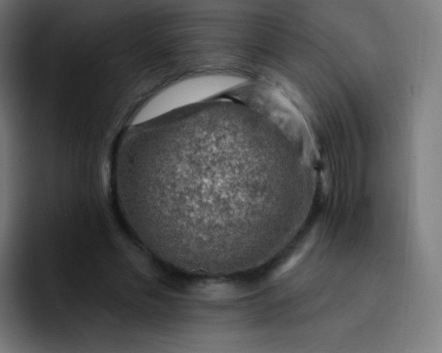 X0000093210589200710101328