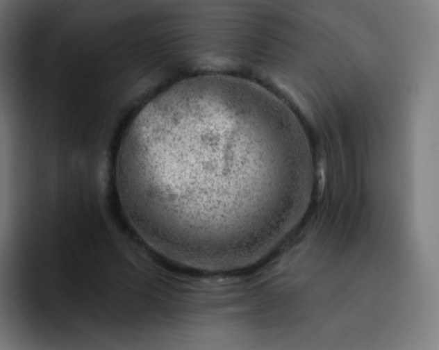 X0000093210591200710101328