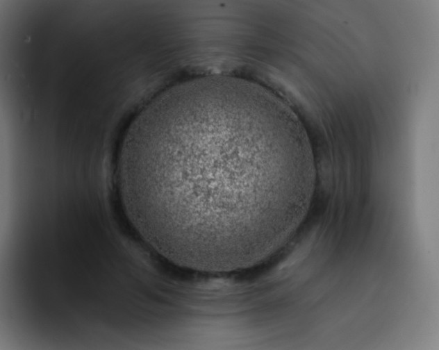 X0000093210594200710101328