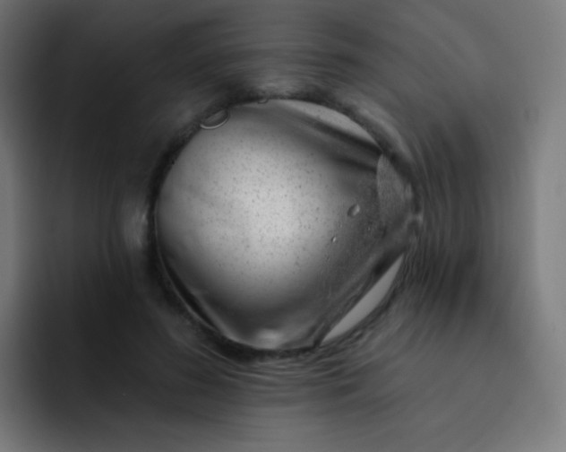 X0000093210596200710101328