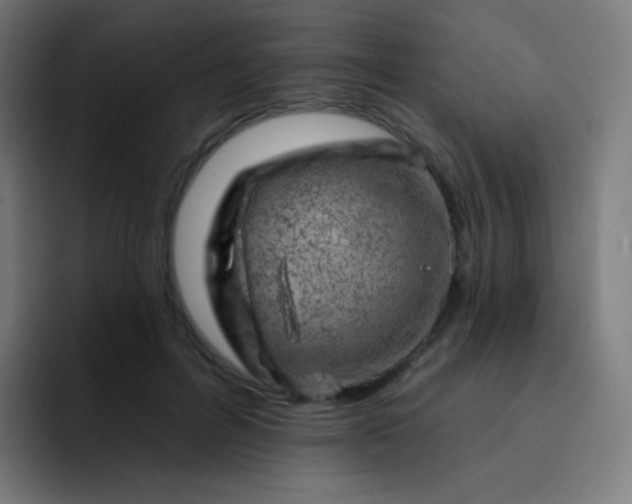 X0000093210600200710101328