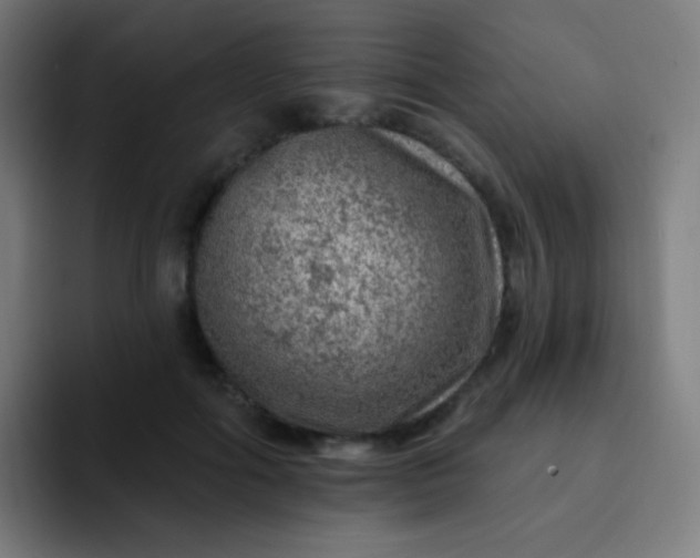 X0000093210602200710101328