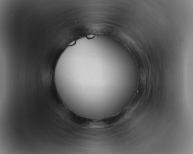 X0000093210603200710101328