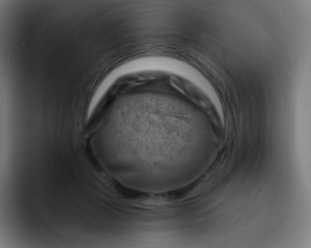 X0000093210604200710101328