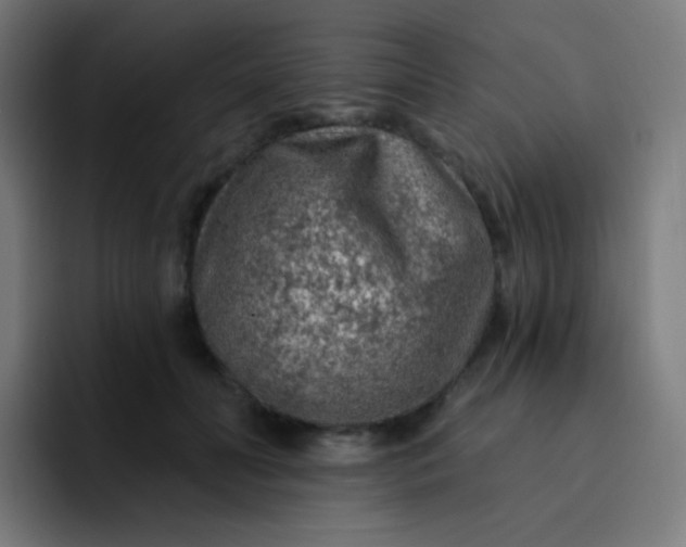 X0000093210606200710101328