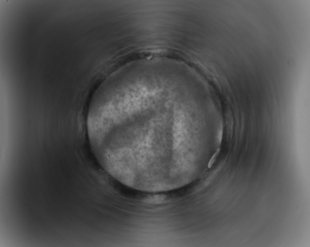 X0000093210609200710101328