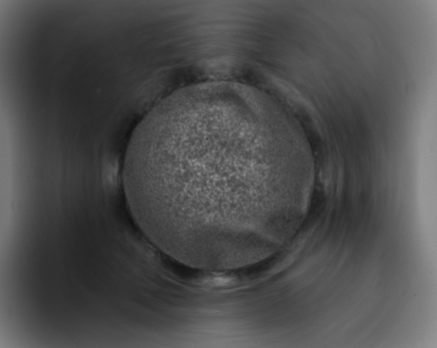 X0000093210610200710101328