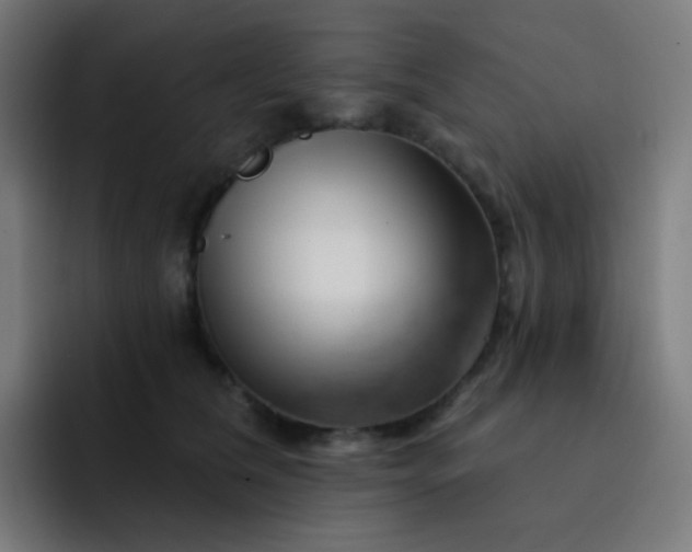 X0000093210612200710101328