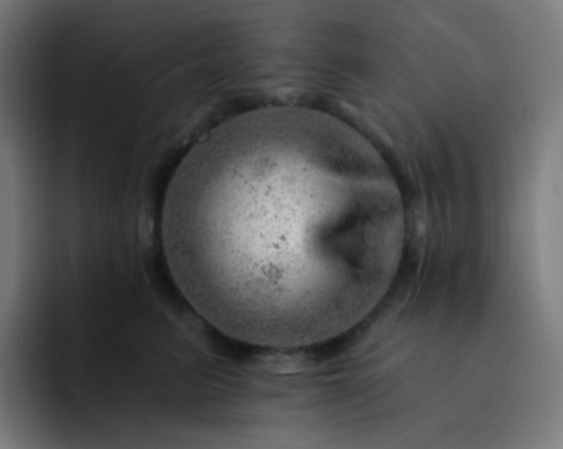 X0000093210615200710101328