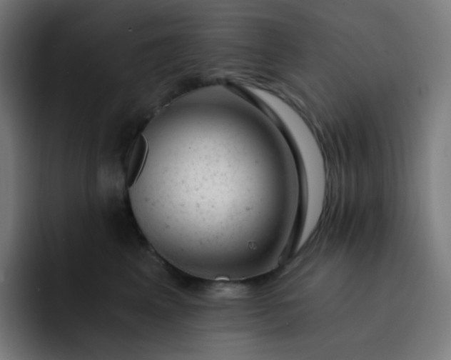 X0000093210617200710101328