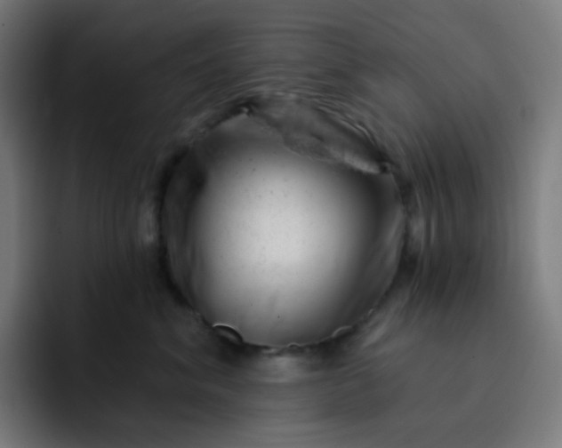 X0000093210620200710101328