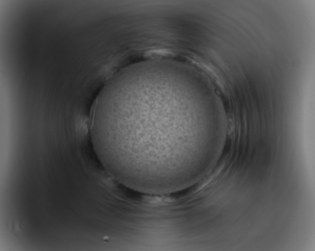 X0000093210621200710101328