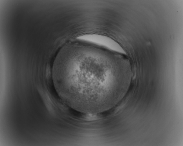 X0000093210623200710101328