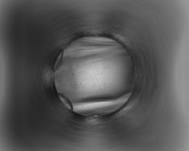 X0000093210624200710101328