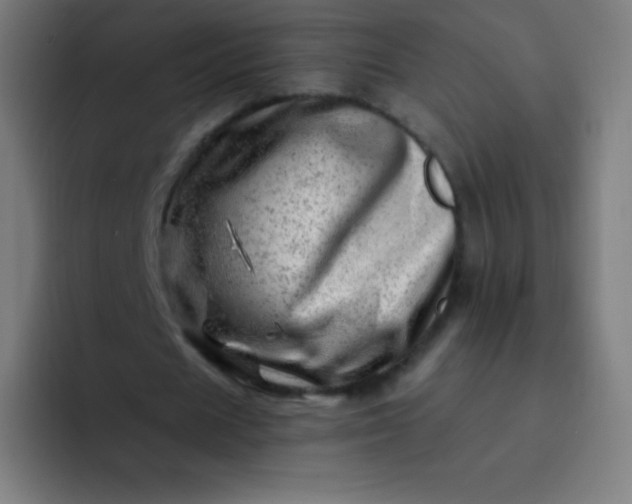 X0000093210625200710101327