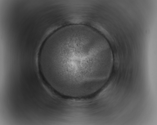 X0000093210626200710101327