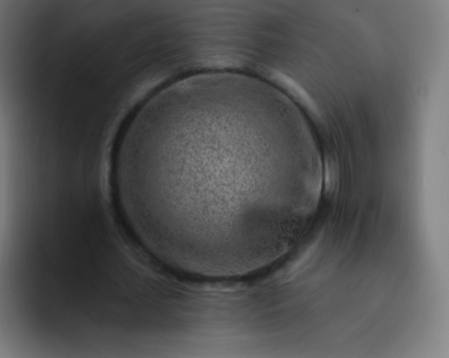 X0000093210627200710101327