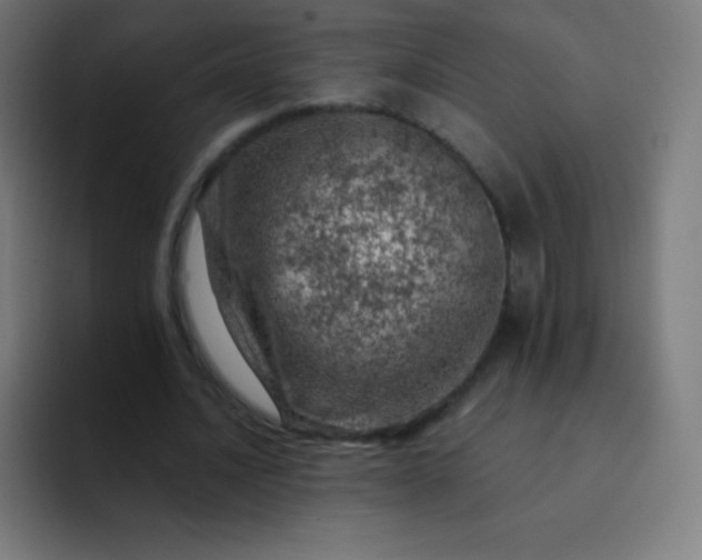 X0000093210628200710101327