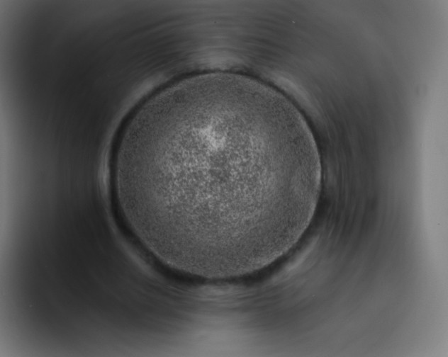 X0000093210630200710101327