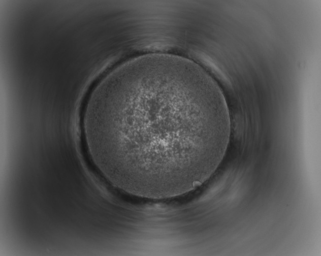 X0000093210634200710101327