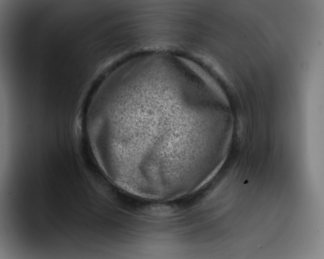 X0000093210636200710101327