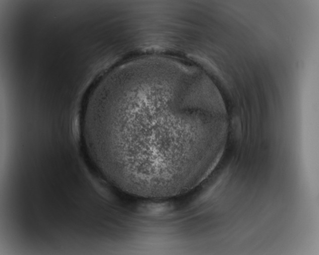 X0000093210638200710101327