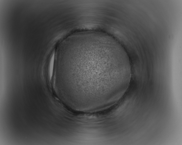 X0000093210640200710101327