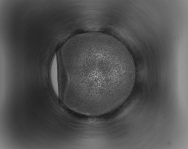 X0000093210641200710101327