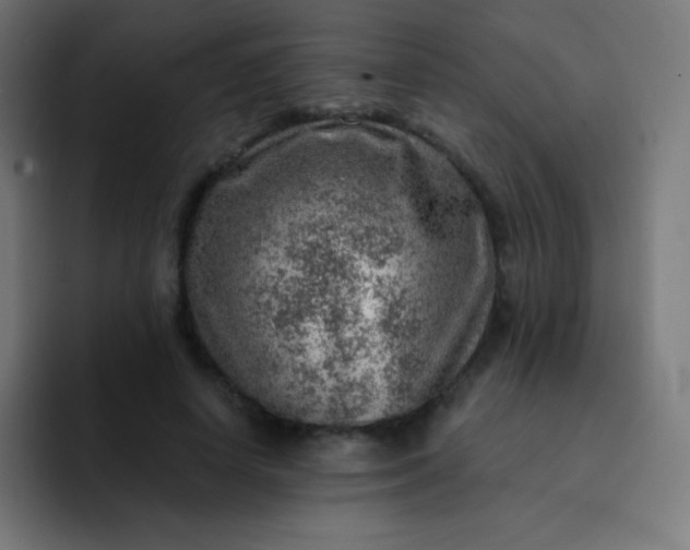 X0000093210642200710101327