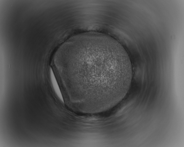 X0000093210643200710101327