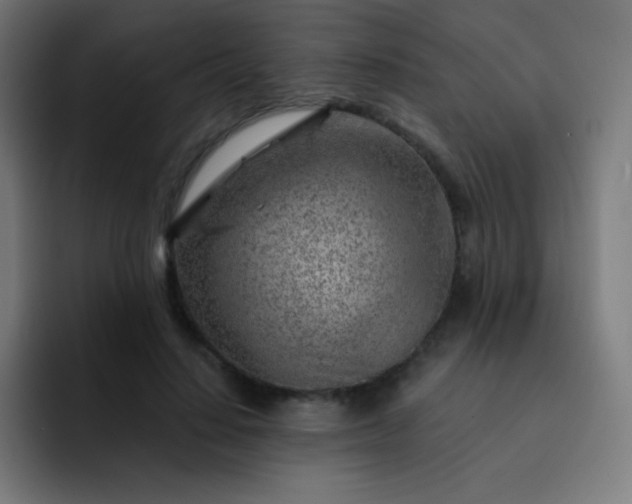 X0000093210644200710101327