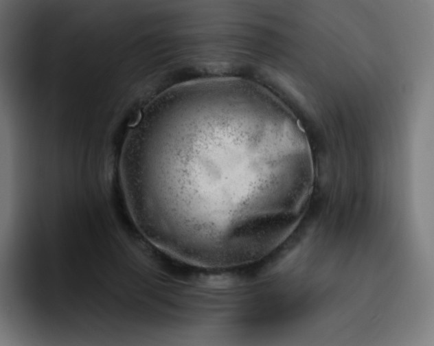 X0000093210645200710101327