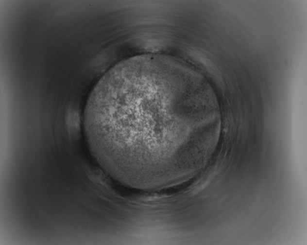 X0000093210646200710101327