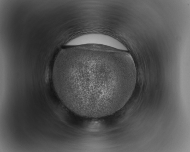 X0000093210647200710101327