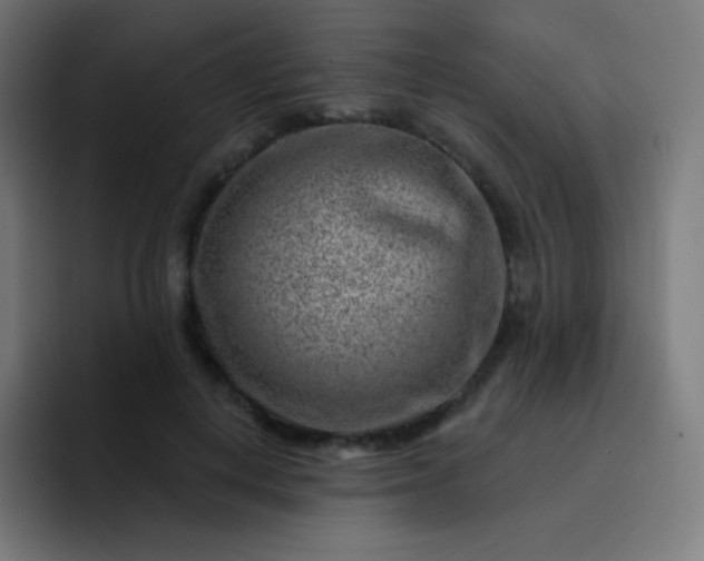 X0000093210648200710101327