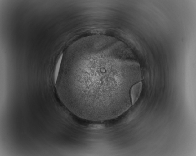 X0000093210649200710101327