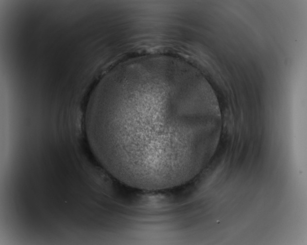 X0000093210650200710101327