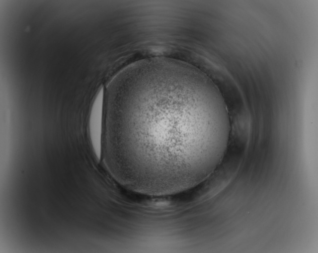 X0000093210651200710101327