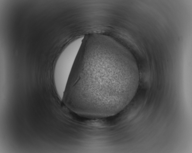 X0000093210652200710101327