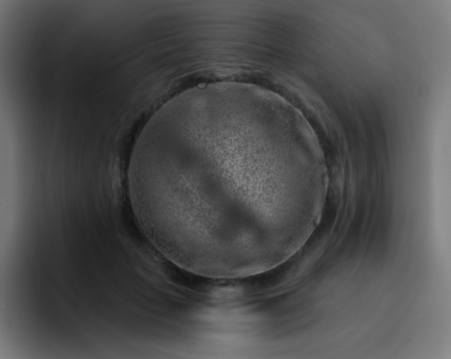 X0000093210653200710101327