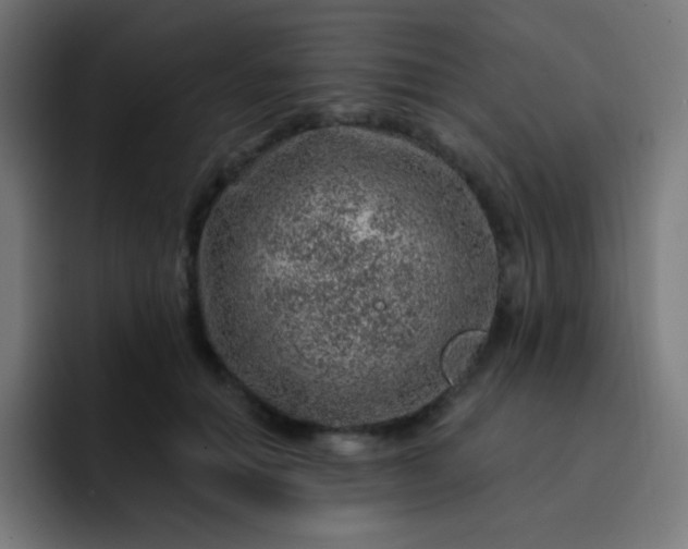 X0000093210654200710101327