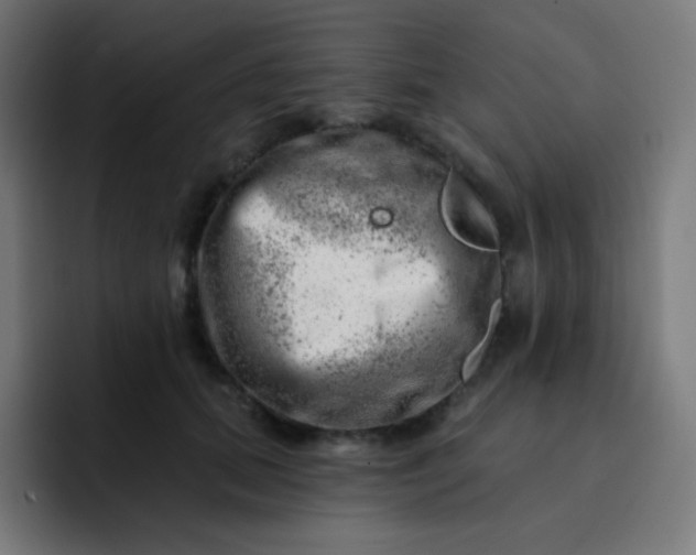 X0000093210655200710101327