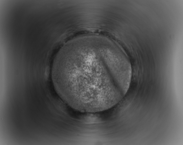 X0000093210656200710101327