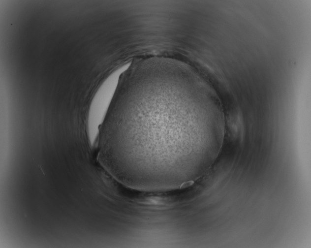 X0000093210657200710101327