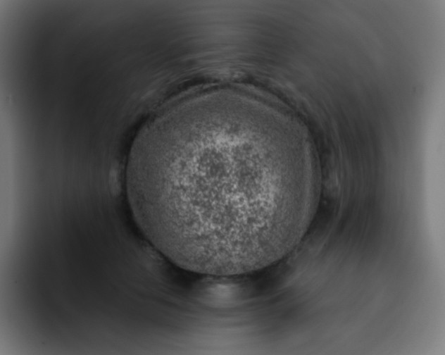 X0000093210658200710101327