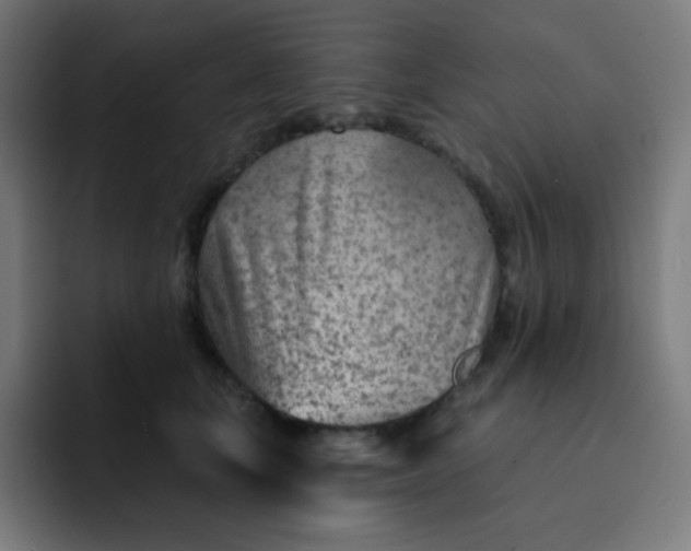 X0000093210659200710101327