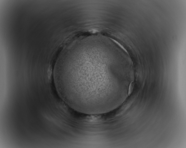 X0000093210660200710101327