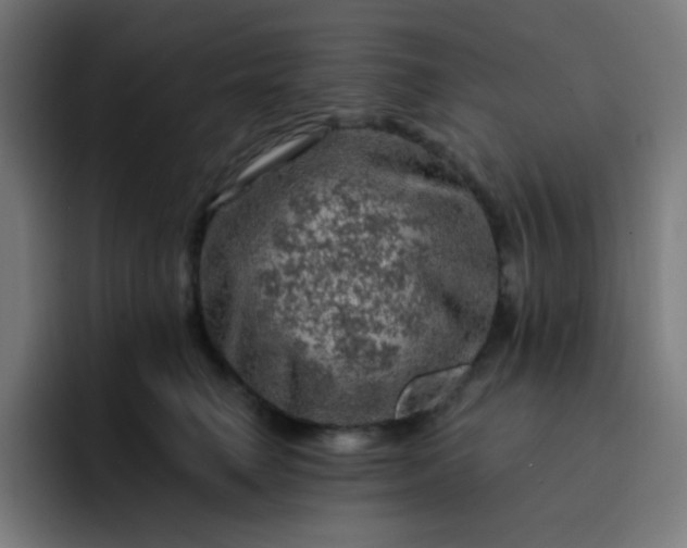 X0000093210662200710101327