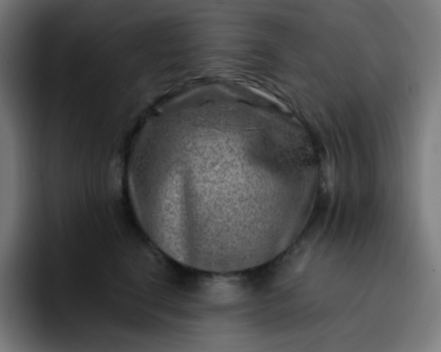 X0000093210664200710101327