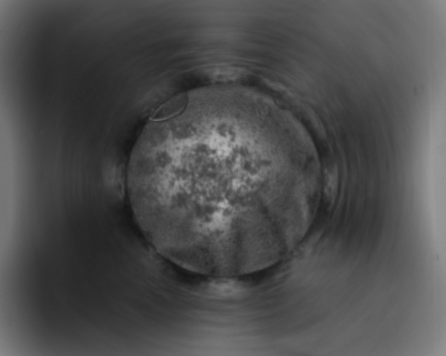 X0000093210666200710101327